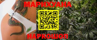 крисы Нальчик