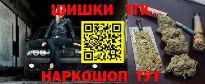 крисы Нальчик