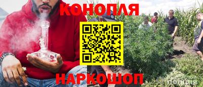 крисы Нальчик