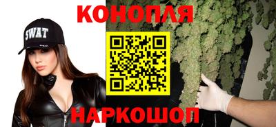 крисы Нальчик